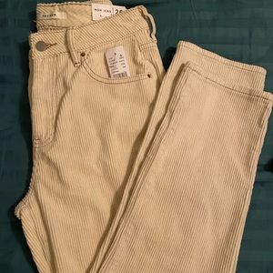 Brand New PacSun Corduroy Pants